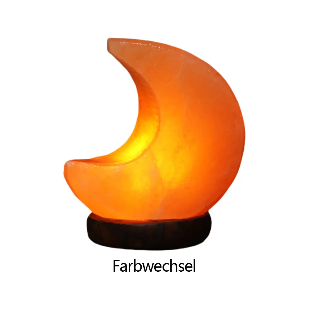 Himalayan Salt Lamp LED Night Light