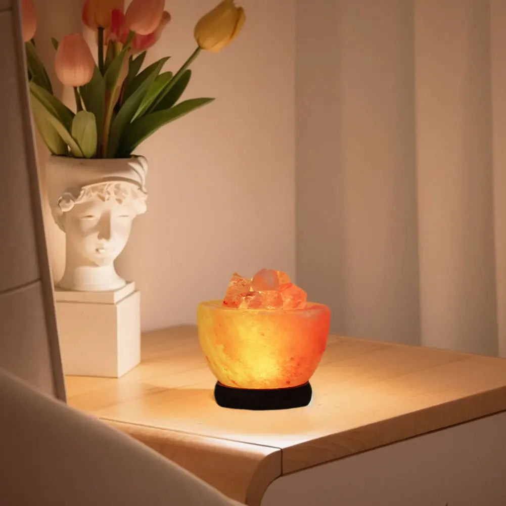 Himalayan Salt Lamp LED Night Light