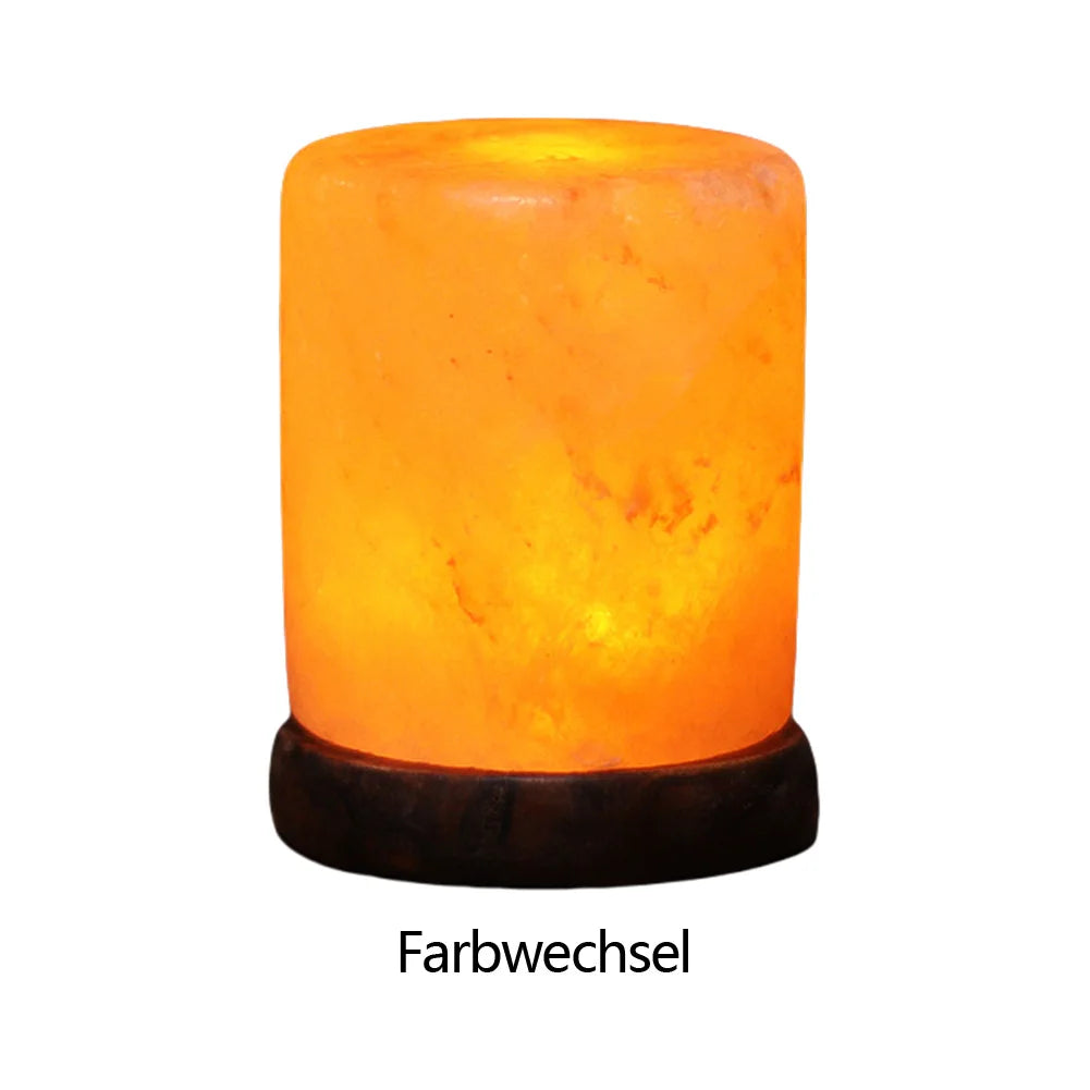 Himalayan Salt Lamp LED Night Light