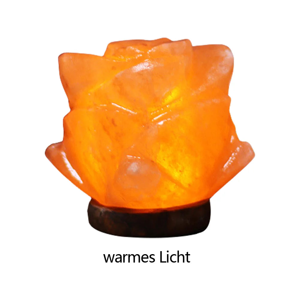 Himalayan Salt Lamp LED Night Light