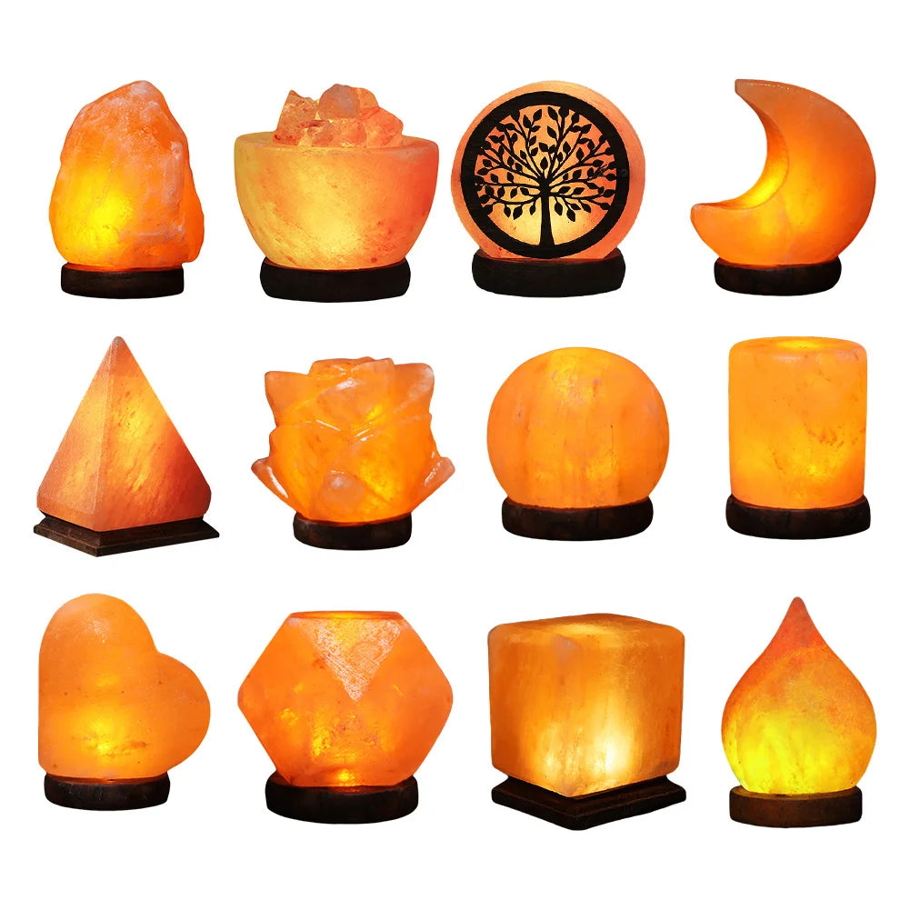 Himalayan Salt Lamp LED Night Light